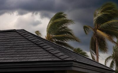 Carolina Roofing: Essential Guide for Homeowners